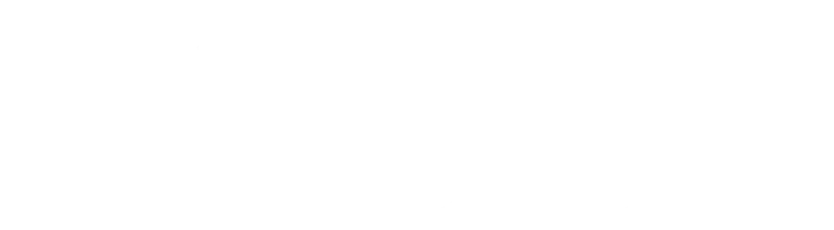 Raccoon Media